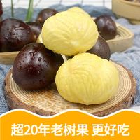 新鲜现摘丹东板栗净重4.5斤