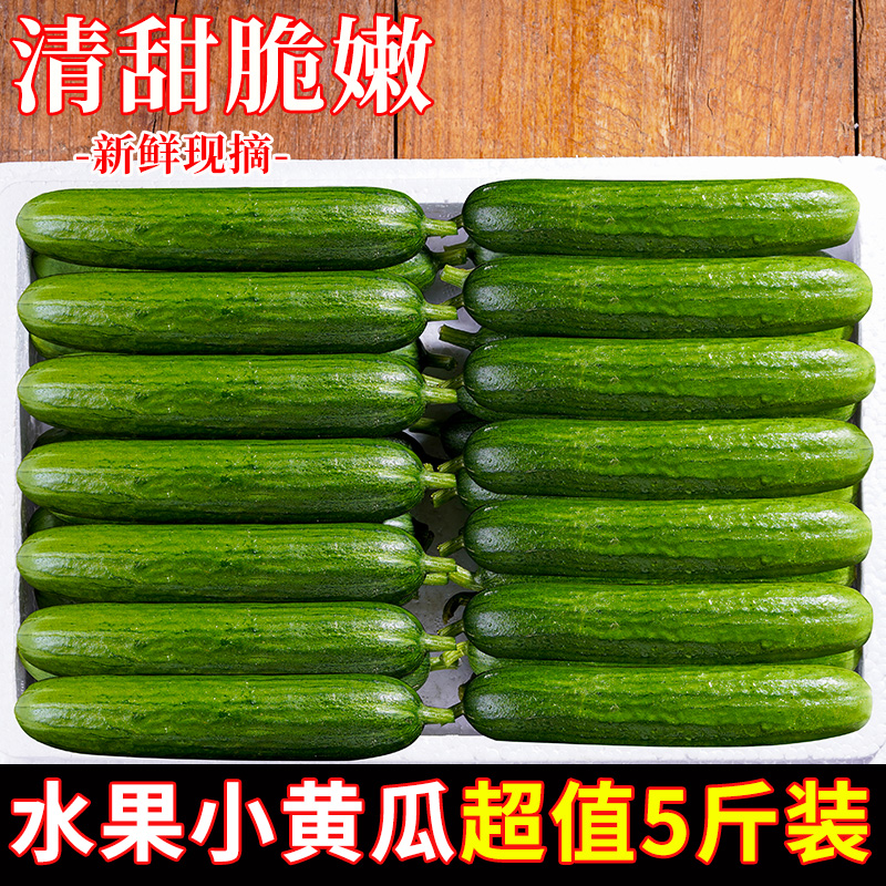 新鲜水果黄瓜生吃当季小青瓜蔬菜旱脆黄瓜苗农家整箱包邮应季次日-图1