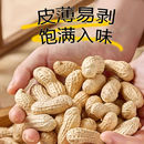 浙梅核桃味小花生502g带壳零食小吃休闲食品