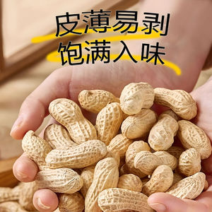 浙梅核桃味小花生502g带壳零食小吃休闲食品炒货特产下酒菜国货