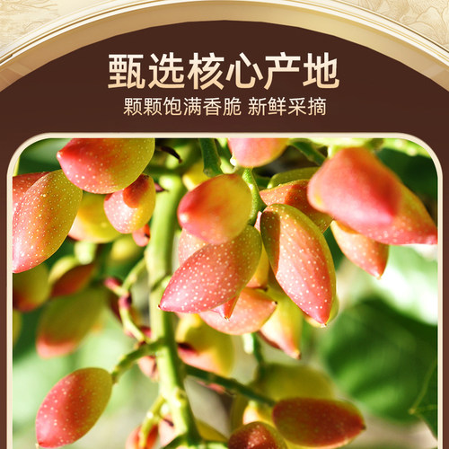开心果2025新货500g罐装盐焗味原色坚果孕妇小零食炒货批发大颗粒 - 图0