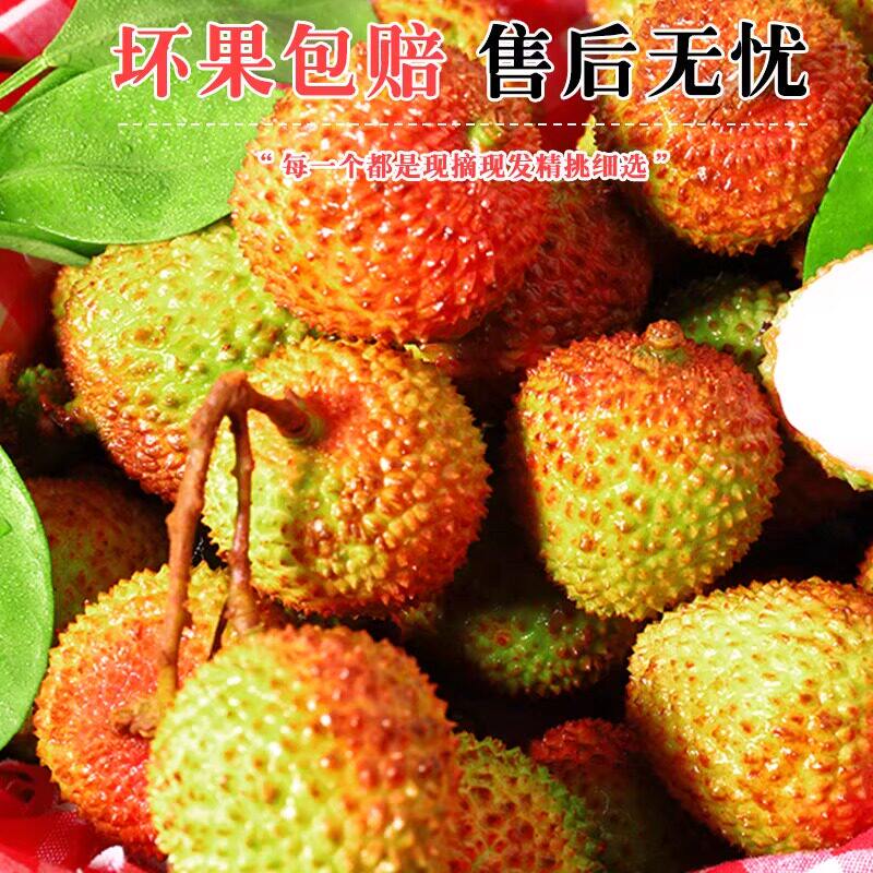 顺丰海南妃子笑荔枝新鲜水果特大果当季现摘桂花荔枝香老树包邮甜