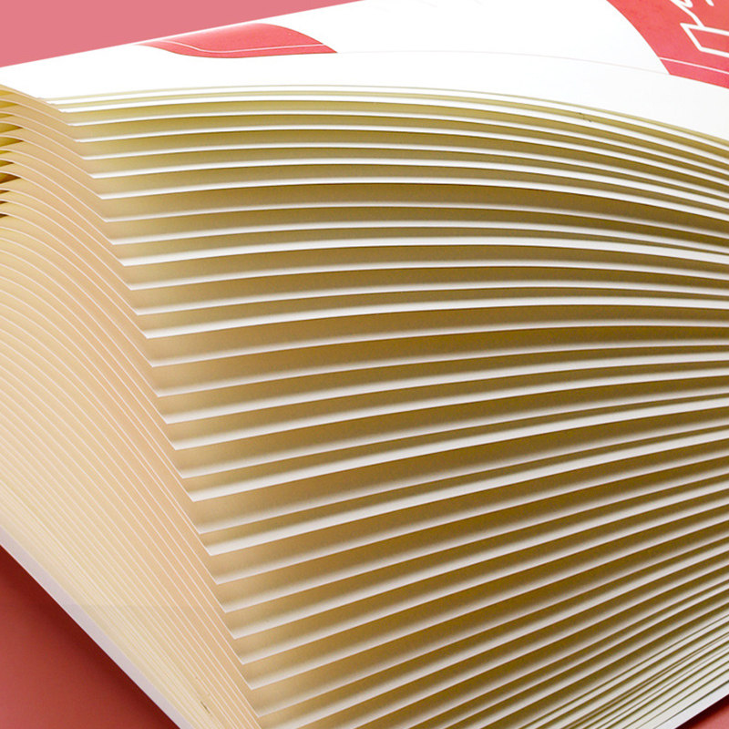 一年级二年级小学生生字练字帖四五六字帖上册下册每日一练描红本,淘宝优惠券,粉丝福利购,淘宝优惠卷