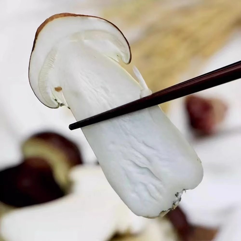 顺丰包邮 2025新鲜赤松茸食用菌菇2斤非野生姬松茸煲汤火锅炒菜鲜,淘宝优惠券,粉丝福利购,淘宝优惠卷