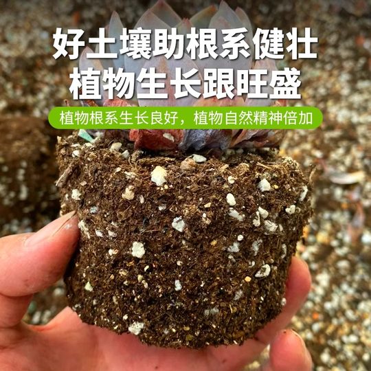 Terreau granulaire spécial pour plantes succulentes et terre nutritive pour plantes succulentes