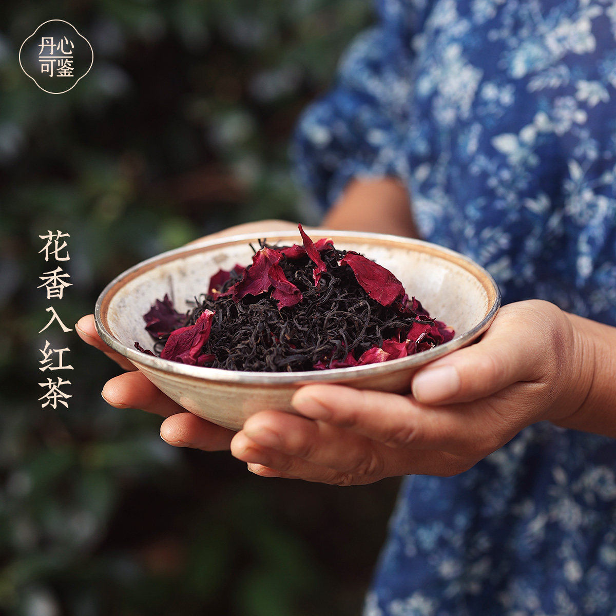 丹心可鉴 乡愁沈丹玫瑰花茶红茶小种50g罐装,淘宝优惠券,粉丝福利购,淘宝优惠卷