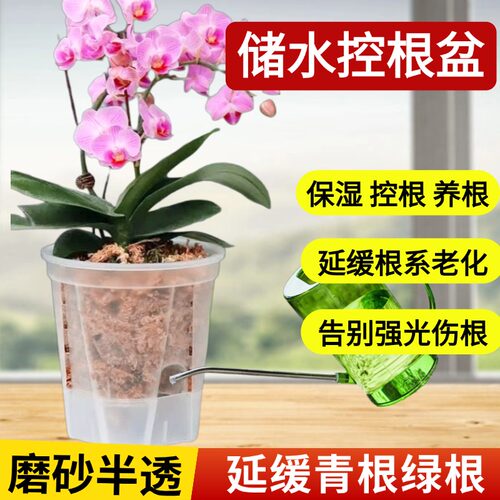 蝴蝶兰花盆专用懒人盆储水自吸水透明控根透气兰花石斛用绿植塑料 - 图0