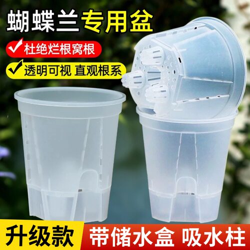 蝴蝶兰花盆专用懒人盆储水自吸水透明控根透气兰花石斛用绿植塑料 - 图3