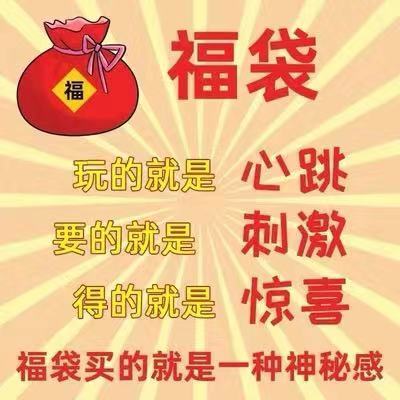 三国魔动核MG高达手办赵云关羽吕布敖丙白起曹仁干将机甲盲盒福袋 - 图2