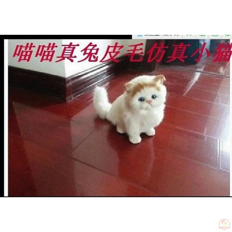 包邮会叫动尾巴仿真猫咪小花猫模型 嘉珈仿真/动物玩偶
