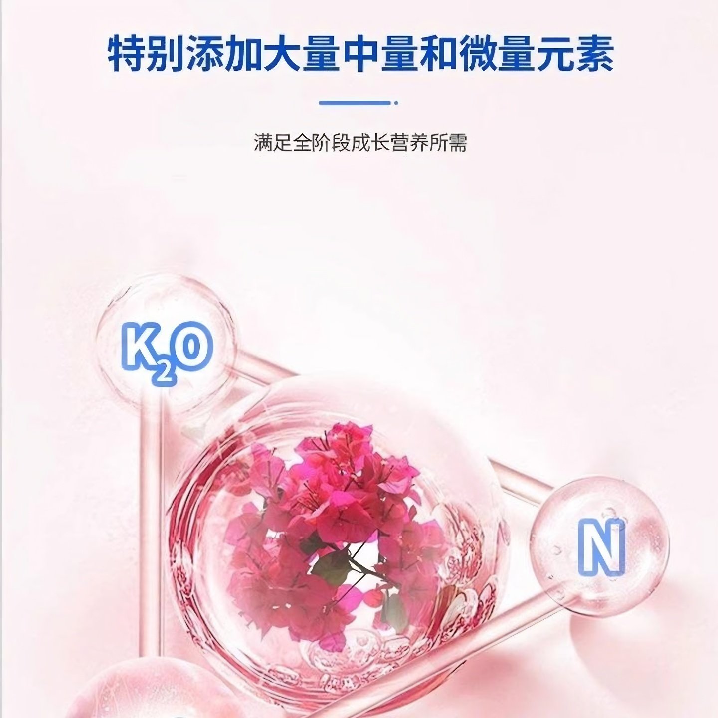 三角梅开花专用营养液肥促花爆花骨粉复合肥料养花枝繁叶茂促开花,淘宝优惠券,粉丝福利购,淘宝优惠卷