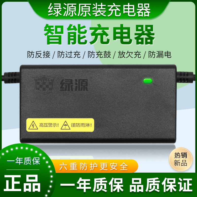 绿源原装电动车电瓶充电器48V6012/20AH30AH20E-T30E2T原厂配件 - 图2