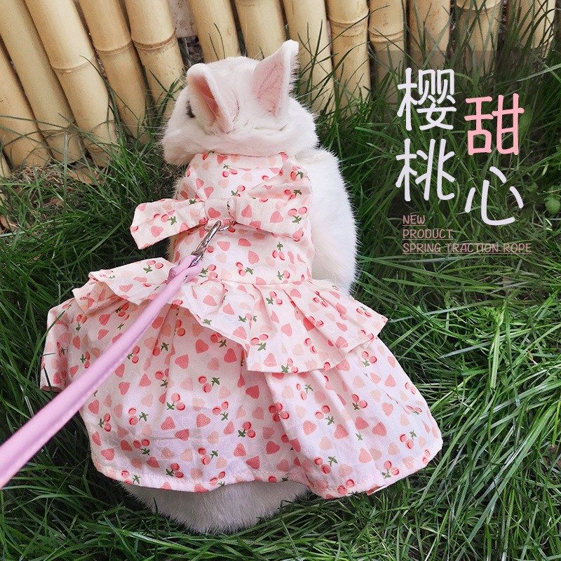宠物兔子衣服牵引绳兔兔幼猫猫咪垂耳兔服饰兔子衣服宠物出游衣服,淘宝优惠券,粉丝福利购,淘宝优惠卷