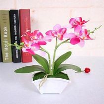 Artificial Butterfly Orchid Fake Plants Flower Plastic