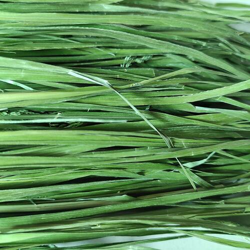 7A新26年烘干提摩西草精品北提干草兔子粮饲料荷兰猪龙猫牧草500g - 图3
