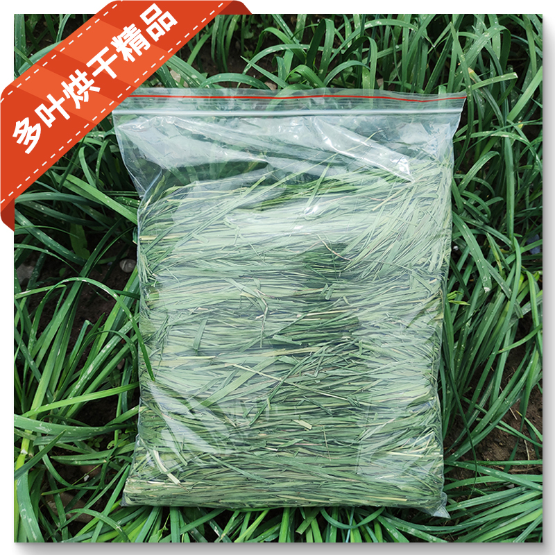 新23年烘干提摩西草精品北提干草兔子粮兔饲料荷兰猪龙猫牧草500g - 图2