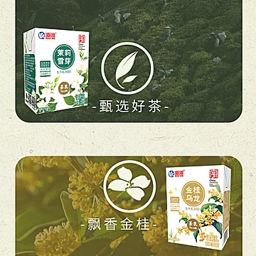 拍2件！海河牛奶茉莉雪芽茶乳生牛乳12盒[3元优惠券]-寻折猪