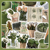 62 sheets of green small freshens with wind sticker suitcase personality minimalist notebook PC flat waterproof paste