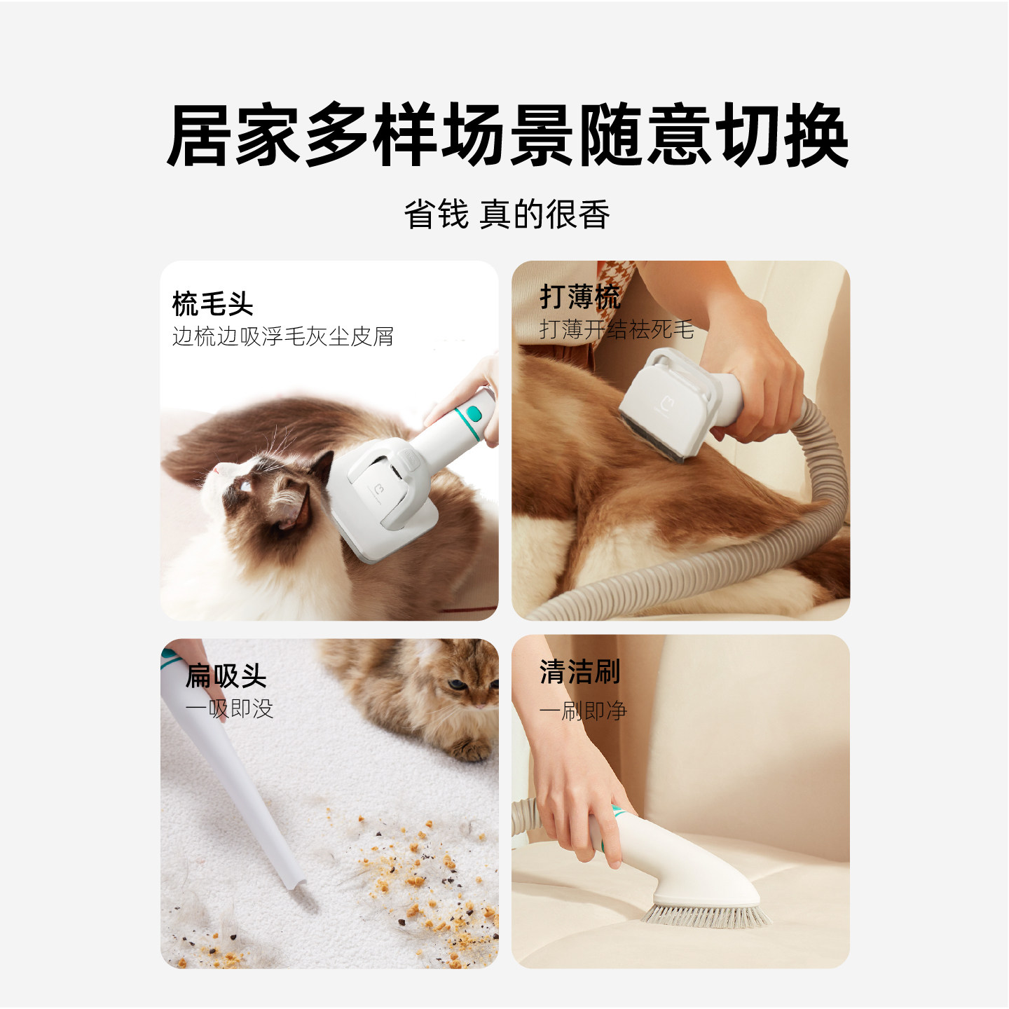 毛妈妈4合1多功能美宠器猫狗宠物店专用电动吸毛神器【无风剪版】,淘宝优惠券,粉丝福利购,淘宝优惠卷