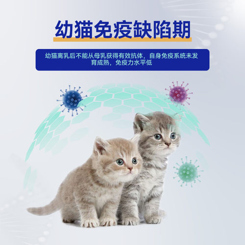 唯特医生猫三抗免疫球蛋白IGY  1g/瓶*10瓶 - 图1