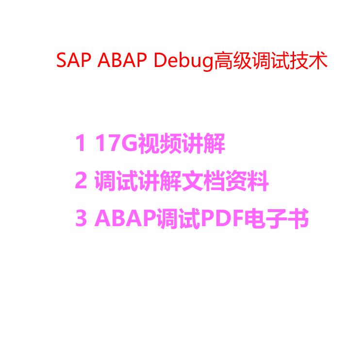 SAP ABAP DEBUG高级调试技术文档学习资料视频讲解PDF电子书精讲 - 图0