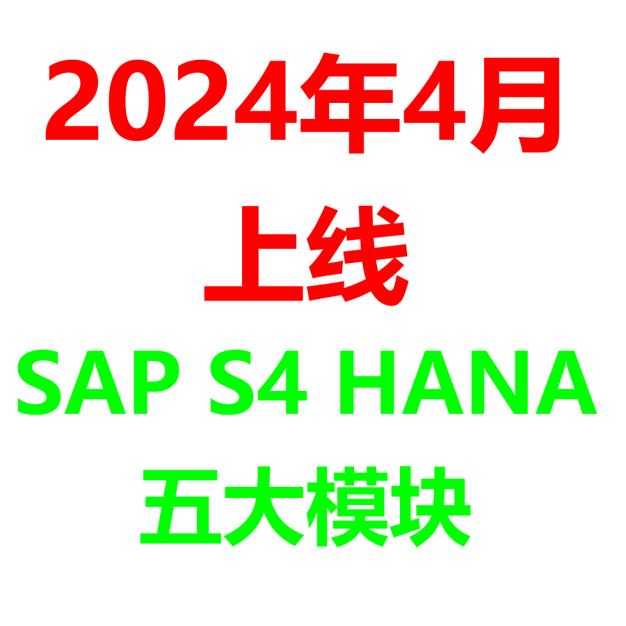 2024年4月上线SAP S4 HANA完整项目实施学习资料5个模块内容齐全-图0