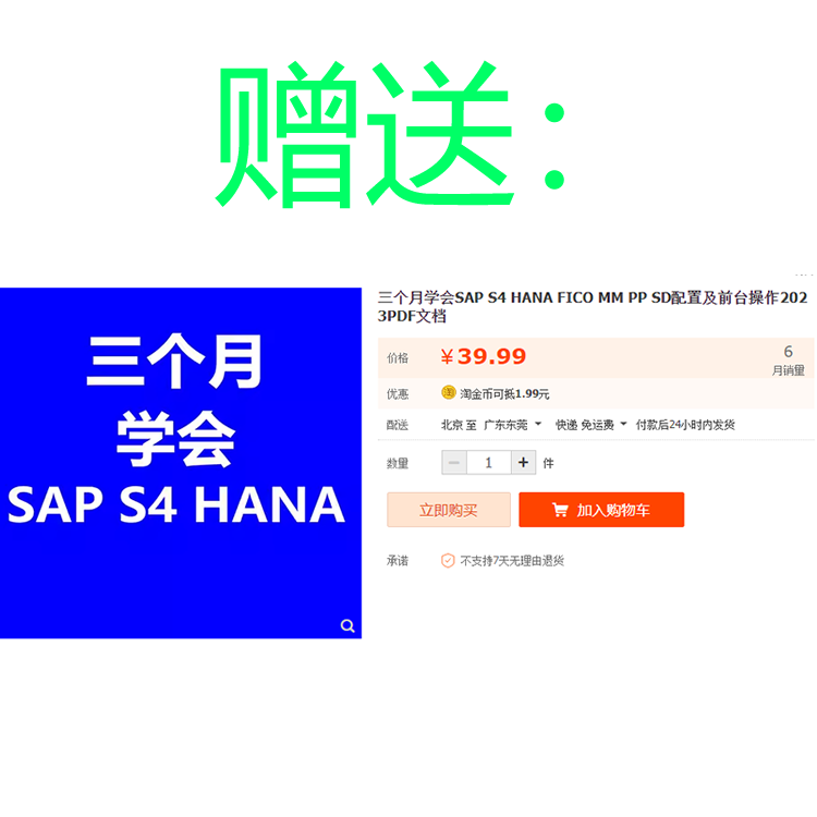 2023年5月上线半导体SAPS4HANA项目资料调研蓝图流程图配置专题 - 图0