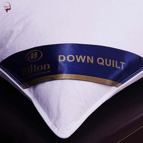 Pillow Healthy pillows feather velvet hotel pillow for bed - 图1