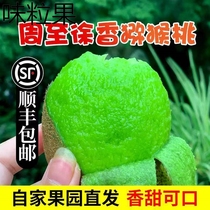 Shaanxi eyebrow county Xu Xiangqi Exotic Fruits Fresh Spring Fruit Authentic pregnant woman mud Memery Peach Chic Exotic Fruits Air