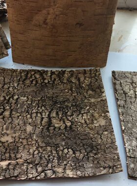 天然风干白桦树皮手工艺品DIY材料绘画装饰管道装修拍摄道具贴墙