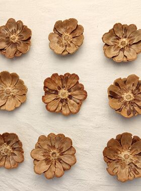 去头松果已剪好卧室幼儿园仿真花手工室内材料diy新款制作卧室画