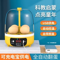 Childrens smart hatchery Mini small household full automatic hatching machine Luding chicken parrot small chicken incubators