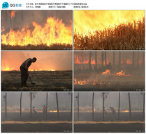 Straw burning burning straw burning straw burning straw environment to destroy atmospheric pollution video material