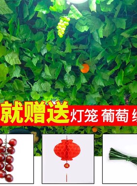 仿真葡萄藤装饰室内外绿色叶子造型吊顶阳光房遮挡水管缠绕藤条花