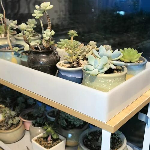 超大号长方形pp塑料实验室托盘定制多肉花架接水盘宠物鸟笼接粪盘 - 图1