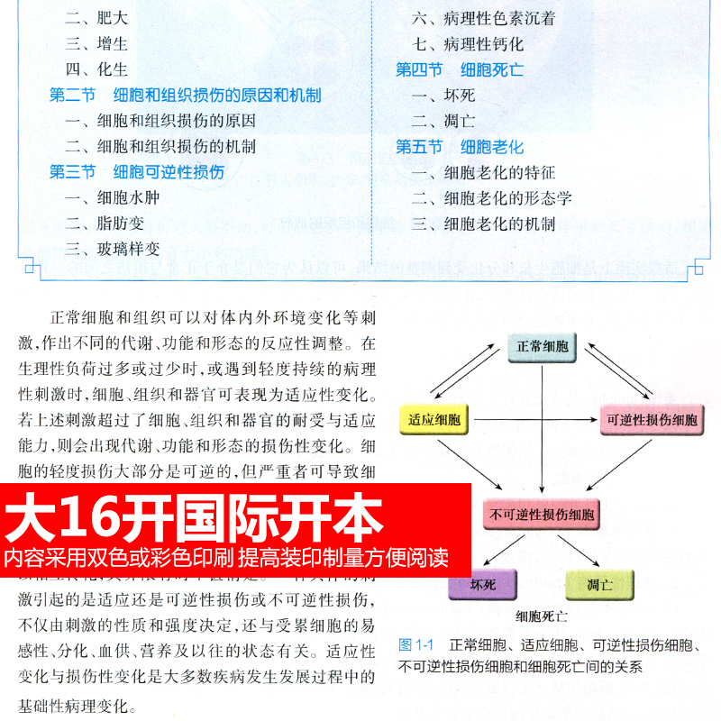 书课包正版病理学第九版第9版人卫版步宏人民卫生出版社本科临-图1