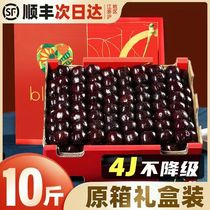 At the end of the season Dalian Meiago carts 4j3jjj large cherry fresh fruit 10 catty official flagship store gift box