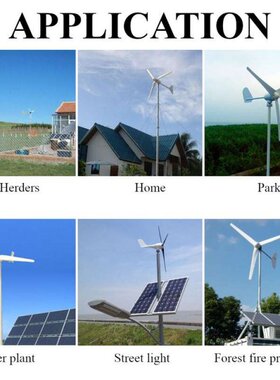 800W 12V 24V 48V Wind Turbine Generator With 6 Blades Horizo