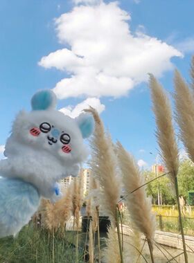 飞鼠可爱chiikawa挂件