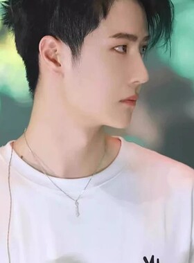 S925银王一博同款狗骨锆石项链