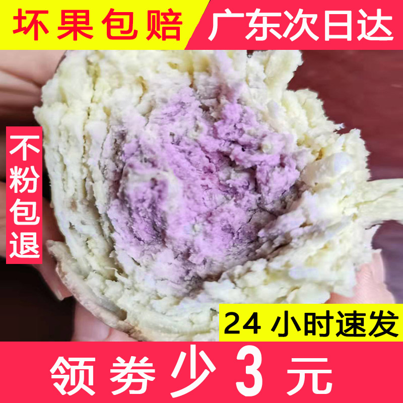 正宗一点红广东粉糯薯山芋新鲜现挖 零居番薯