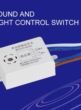 220V Detector Voice Control Switch Light Sound Voice Sensor