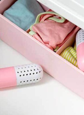 1 Pair Shoes Dehumidifier  Home Wardrobe Clothes Dryer Drawe