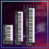 Worldeks49a профессиональная клавиатура Midimidi