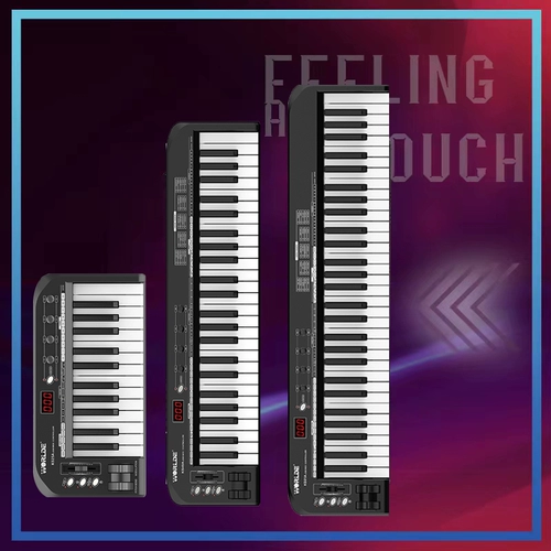 Worldeks49a профессиональная клавиатура Midimidi