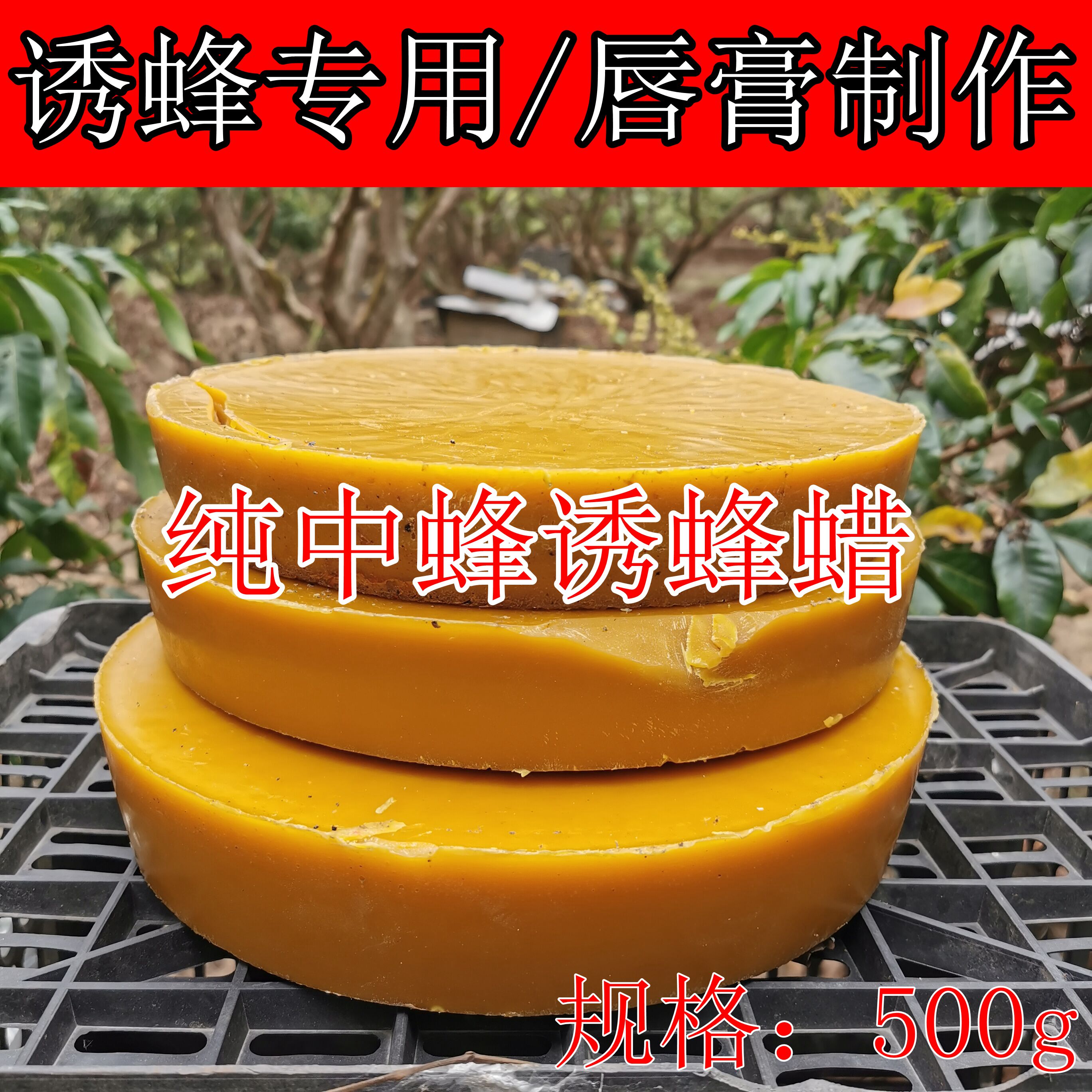 诱蜂蜡中蜂老脾封盖蜡引蜂蜡招蜂蜡蜂蜡诱蜂用土蜂蜡养蜂诱蜂工具-图0