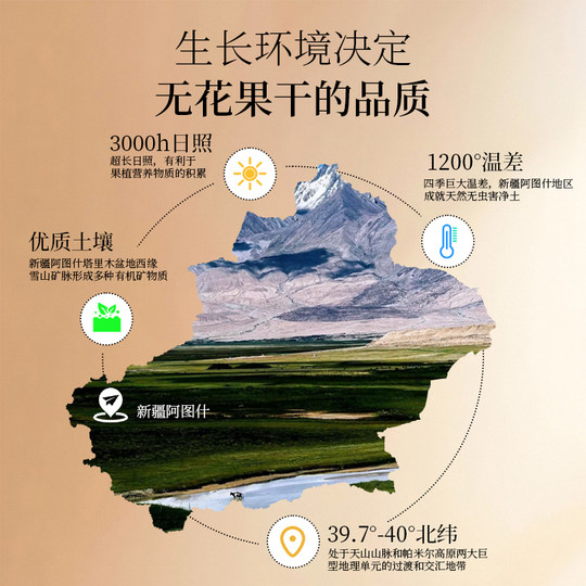 Zaobu Xinjiang getrocknete Feigen 320g große Partikel