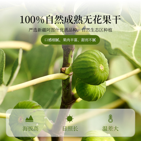 Zaobu Xinjiang getrocknete Feigen 320g große Partikel