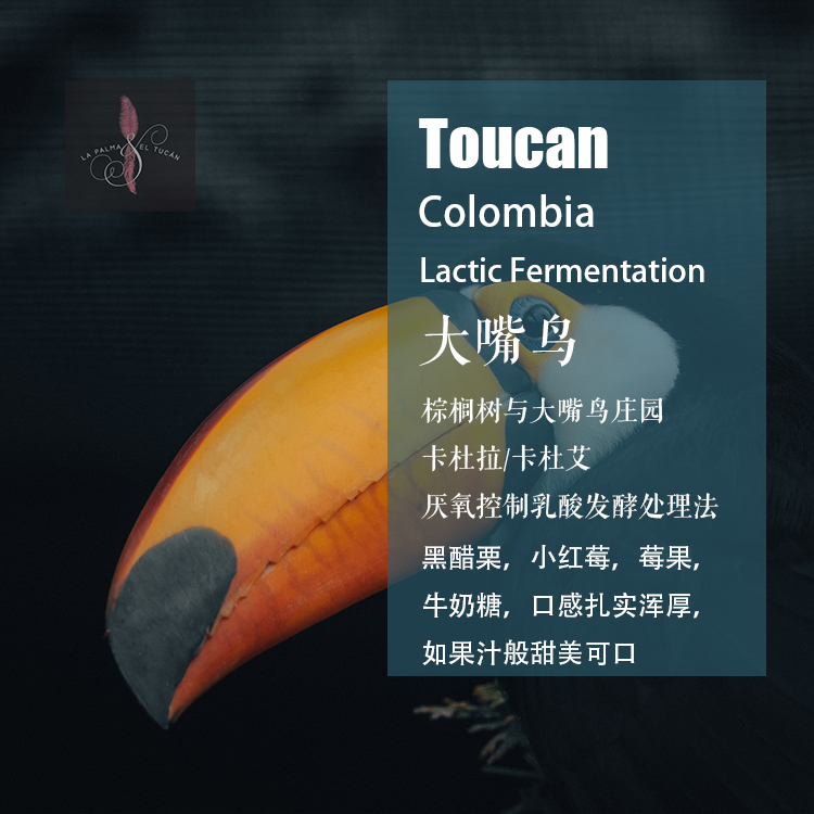 大嘴鸟咖啡 新人首单立减十元 2021年12月 淘宝海外