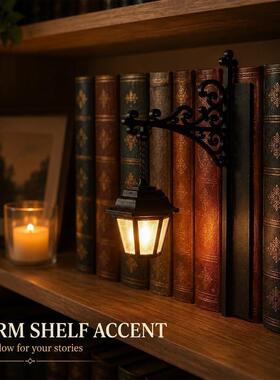 Library Lantern-Decorative Bookshelf Lighting 装饰书架照明